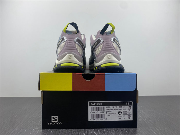 Salomon XT-6 412322